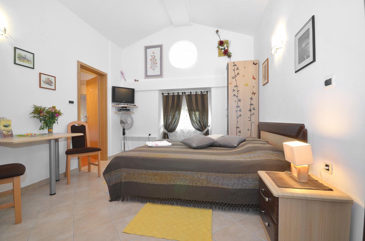 Bella Vista Apartments Motovun Bagian luar foto